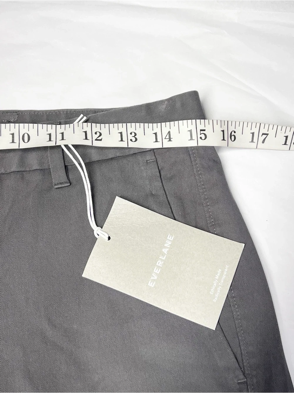 Everlane Slim Fit Performance Chino Uniform Stretch Pants Slate Grey 31x32 NWT